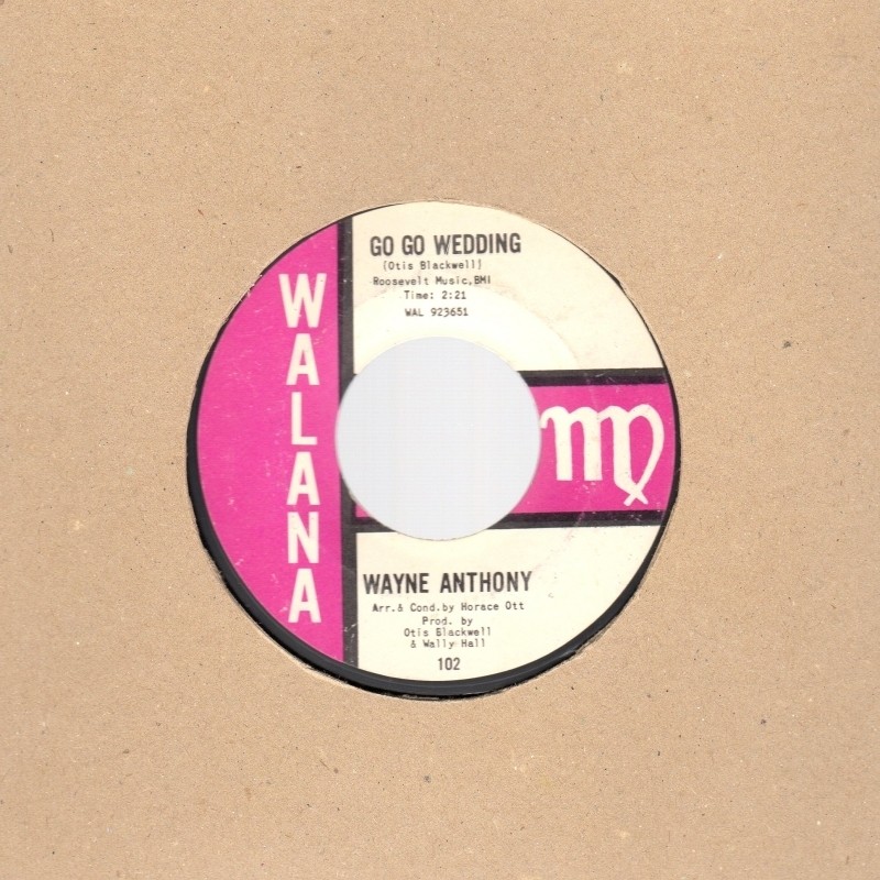 Go Go Wedding / Blow Me A Kiss