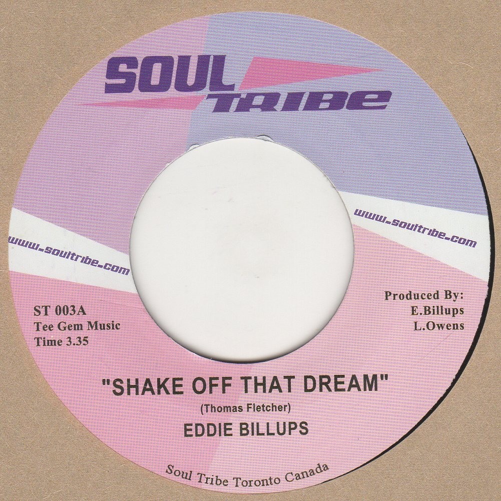 Shake Off That Dream