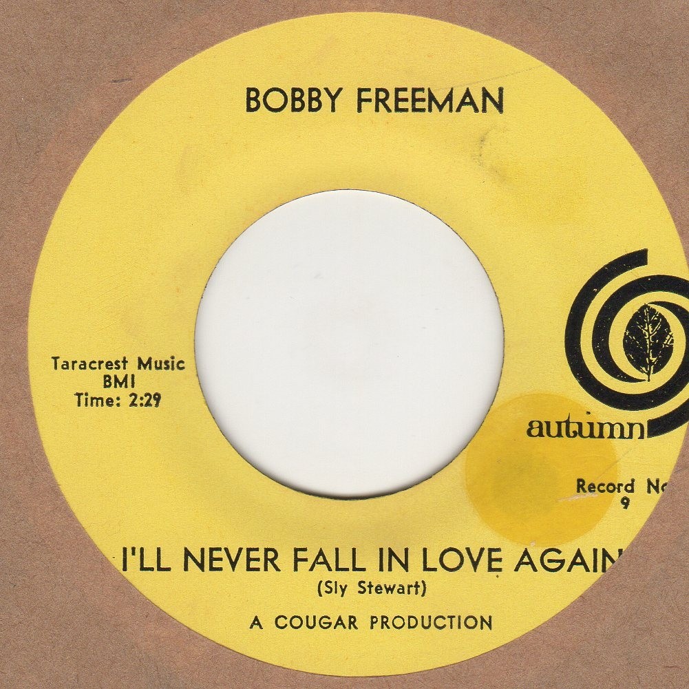 I'll Never Fall In Love Again 