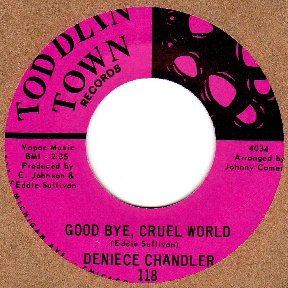 Good Bye Cruel World