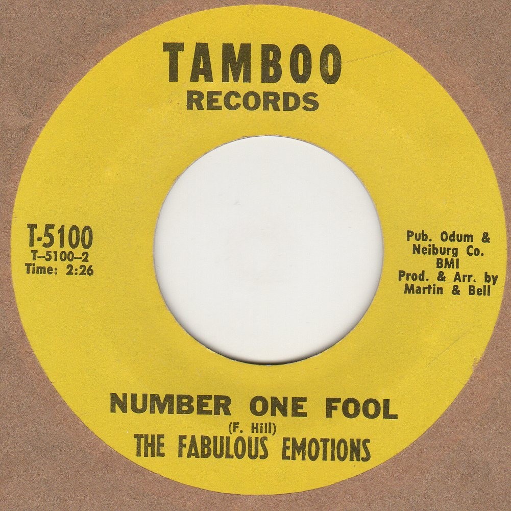 Number One Fool 