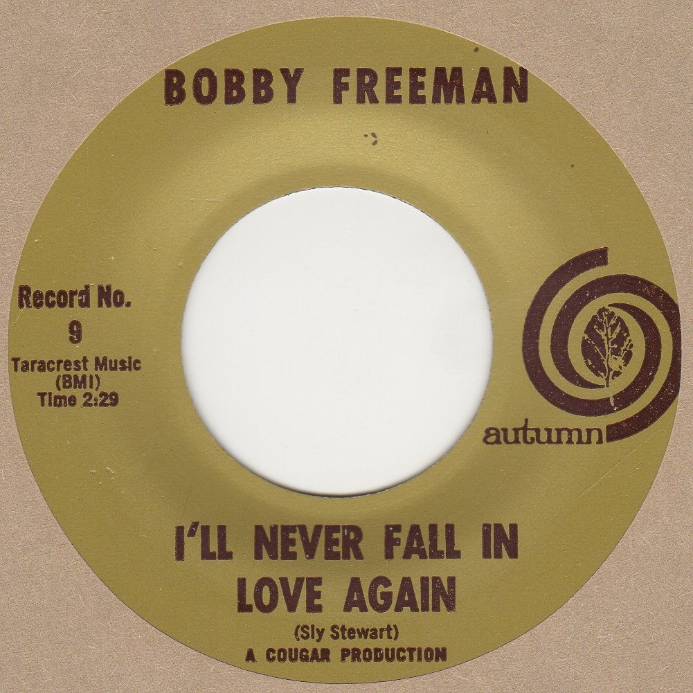 I'll Never Fall In Love Again 