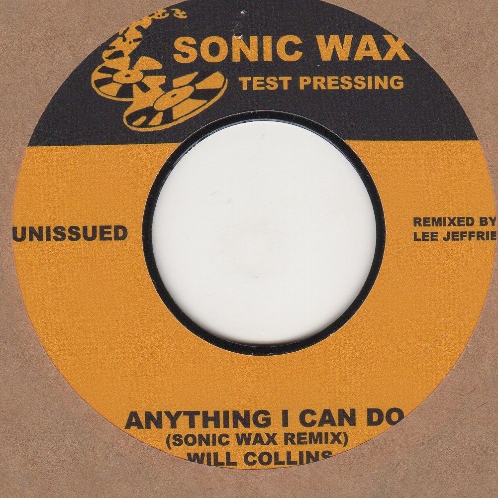 Anything I Can Do (remix)