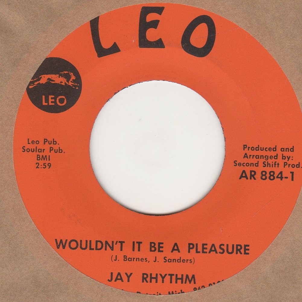 Wouldn't It Be A Pleasure
