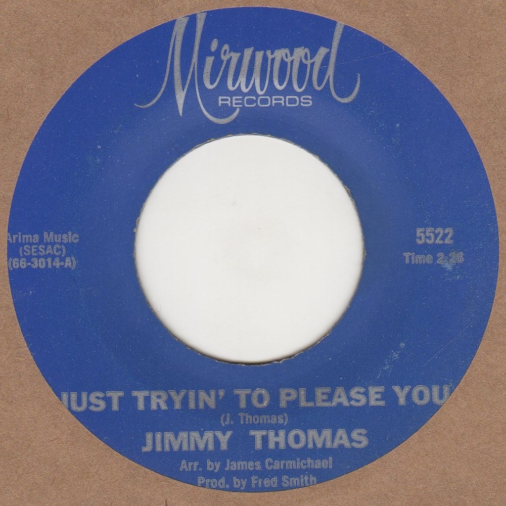 Just Tryin To Please You