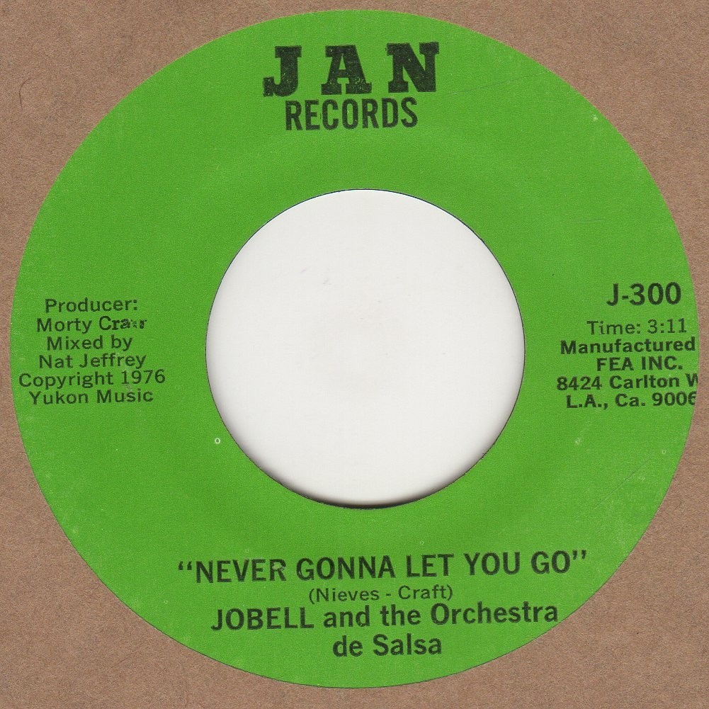 Never Gonna Let You Go