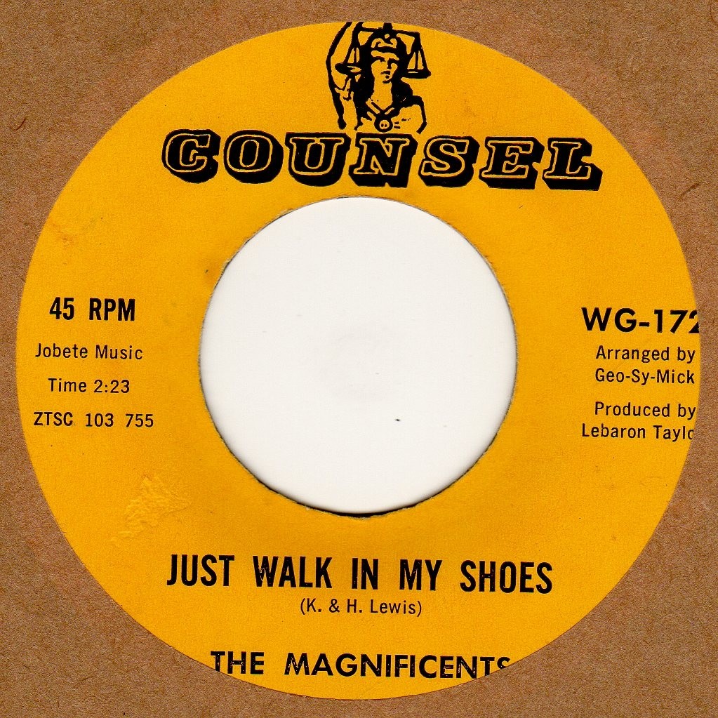 Just Walk In My Shoes