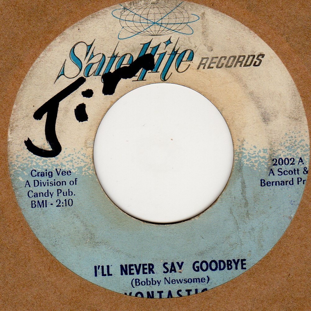 I'll Never Say Goodbye 