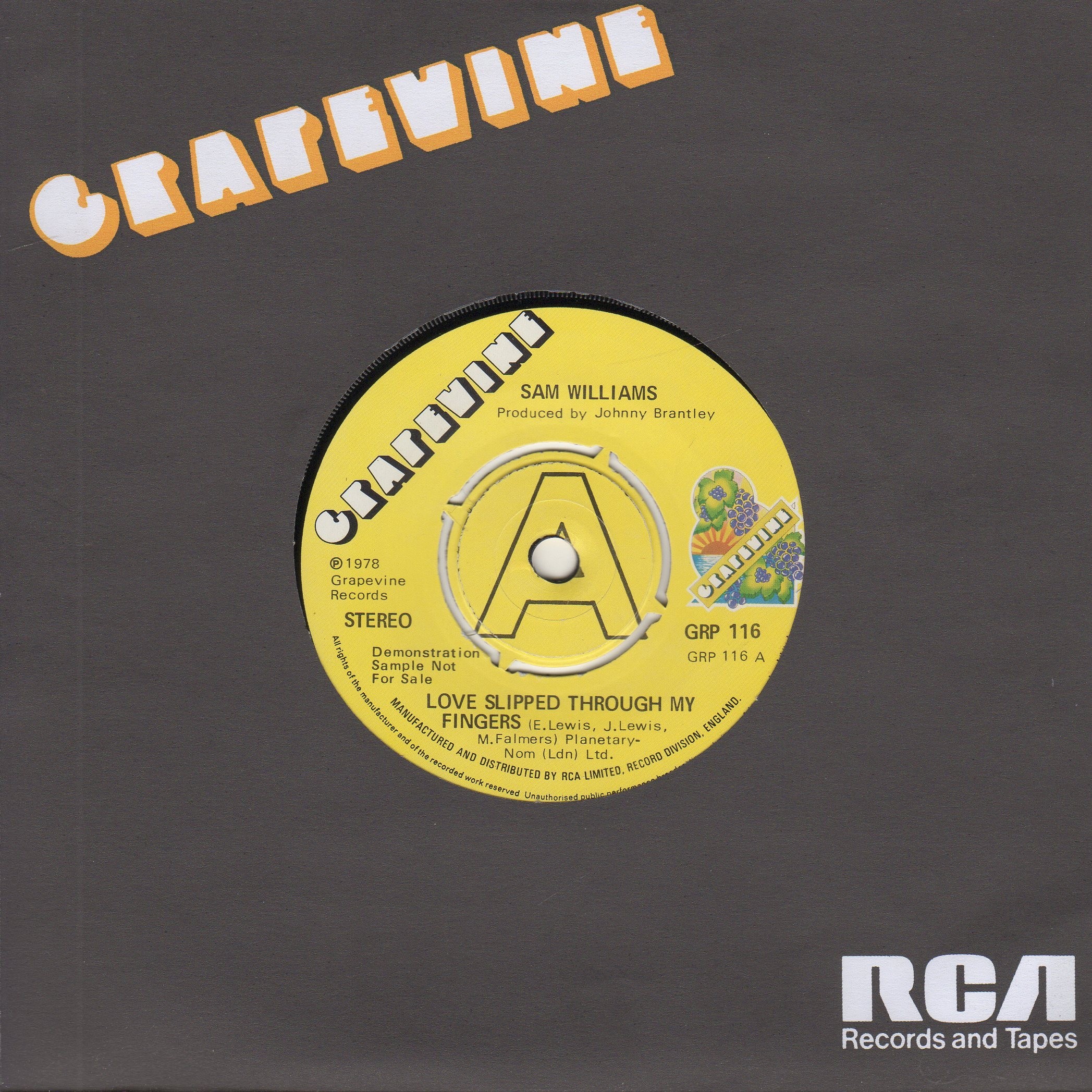 Love Slipped Through My Fingers