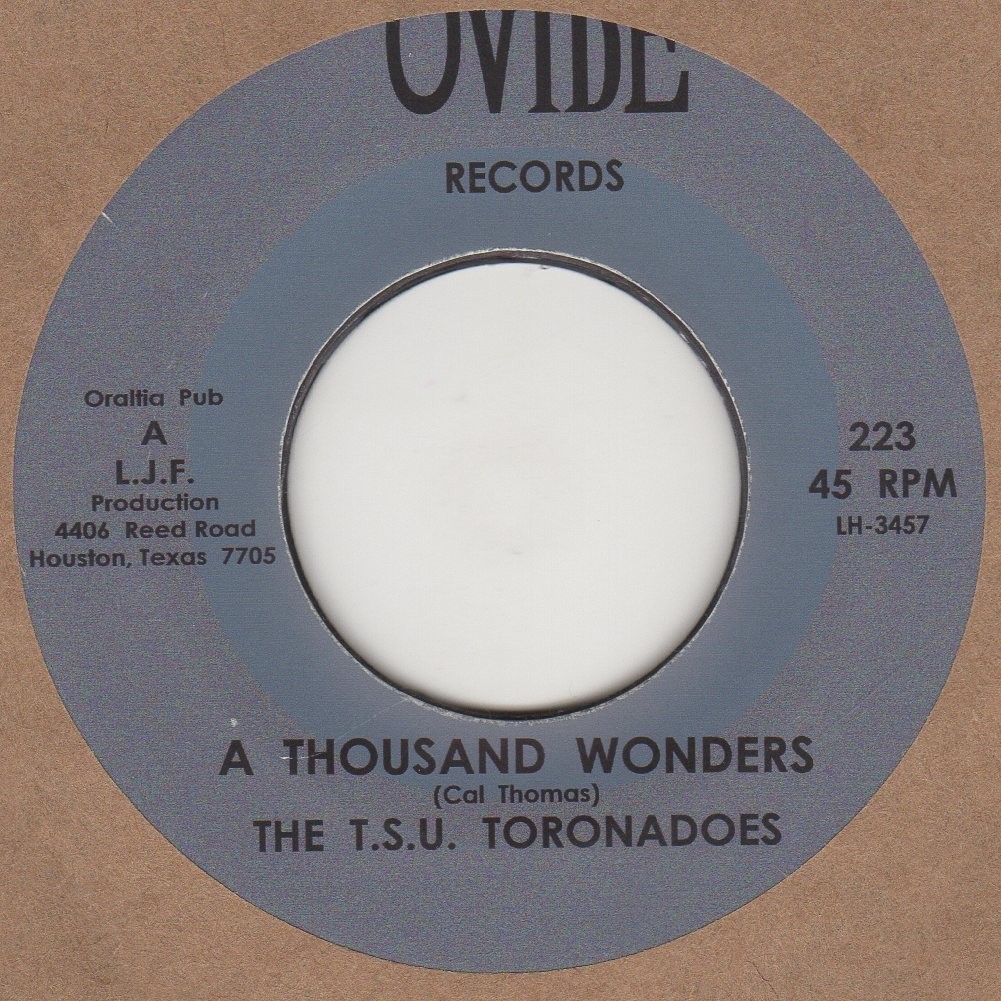 A Thousand wonders