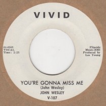Youre Gonna Miss Me / Girl With The Red Dress On