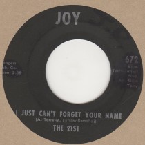 I Just Can't Forget Your Name