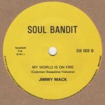 My World Is On Fire /Ski-ing In The Snow