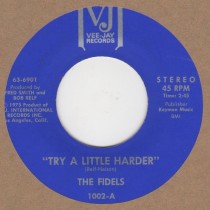 Try A Little Harder / Inst