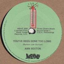 You've Been Gone To Long