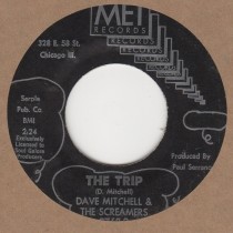 The Trip