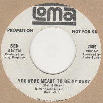 You Were Meant To Be My Baby
