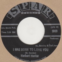 I Was Born To Love You