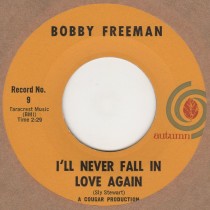 I'll Never Fall In Love Again 