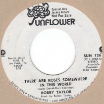 There Are Roses Somewhere In This World