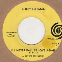 I'll Never Fall In Love Again 