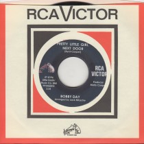 Pretty Little Girl Next Door