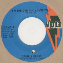 I'm The One Who Loves You