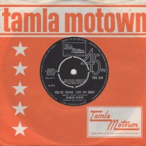 You're Gonna Love My Baby 