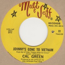 Johnnys Gone to Vietnam