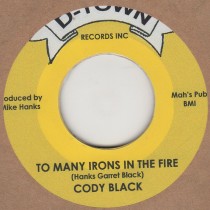 Too Many Irons In The Fire