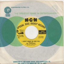 I Dont Want To Lose You 