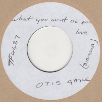 What You Won't Do For Love