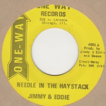 Needle In The Haystack