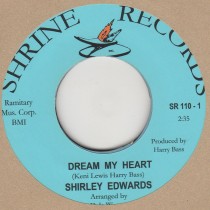 Dream My Heart 