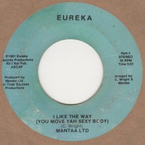I Like The Way You Move