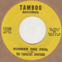 Number One Fool 