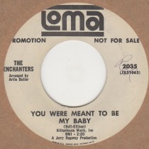 You Were Meant To Be My Baby 