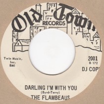Darling I'm With You