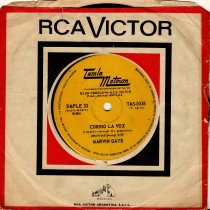 I Heard It Through The Grapevine