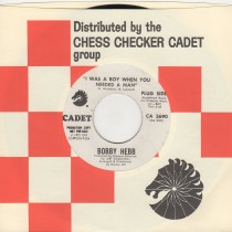 I Was A Boy When You Needed A Man