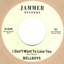 I Dont Want To Lose You