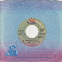 If You Want A Love Affair