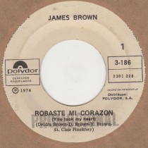 Robaste Mi Corazon (you took my heart)