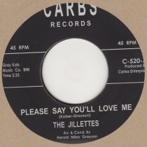 Please Say You'll Love Me