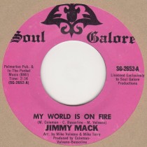 My World Is On Fire