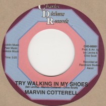 Try Walking In My Shoes