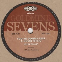 You're Gonna Miss A Good thing
