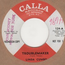 Troublemaker