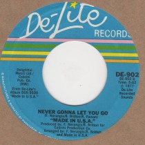 Never Gonna Let You Go