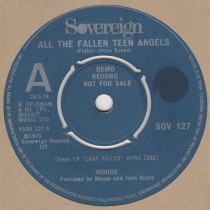 All The Fallen Teen Angels